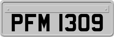 PFM1309