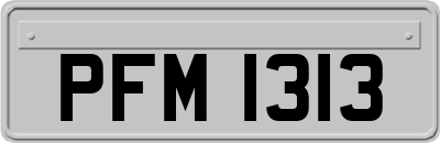 PFM1313