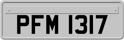 PFM1317