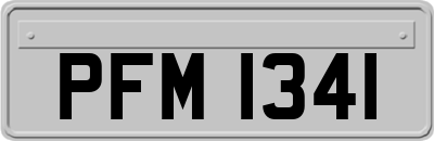 PFM1341