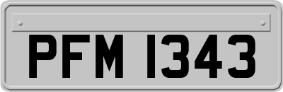 PFM1343