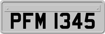 PFM1345