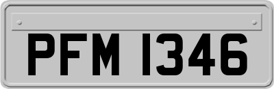 PFM1346