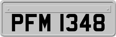 PFM1348