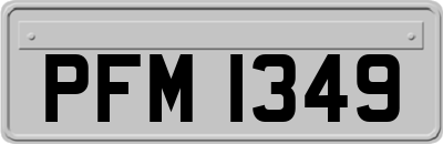 PFM1349