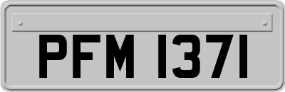 PFM1371