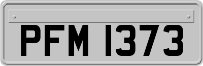 PFM1373