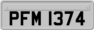 PFM1374