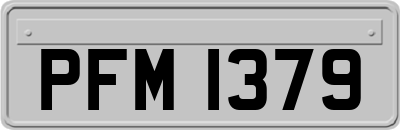 PFM1379