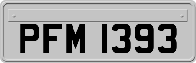 PFM1393
