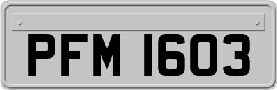 PFM1603