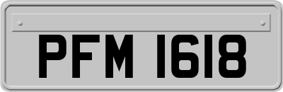 PFM1618