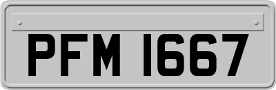PFM1667