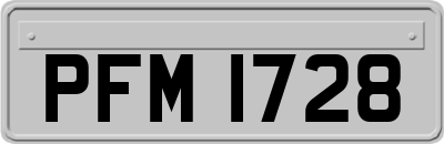 PFM1728