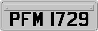 PFM1729