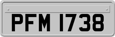 PFM1738