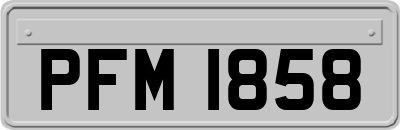 PFM1858