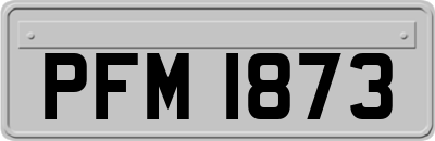 PFM1873