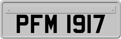 PFM1917