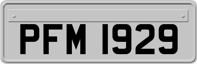 PFM1929