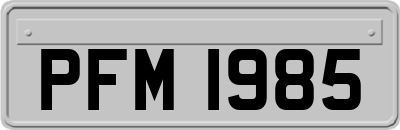 PFM1985
