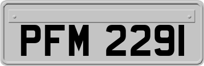 PFM2291