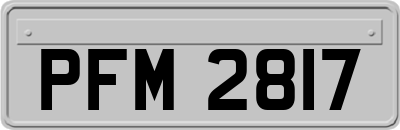 PFM2817