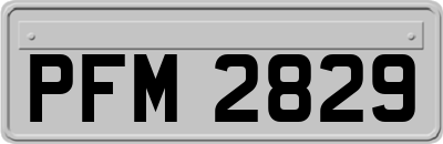 PFM2829