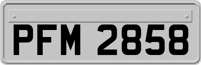 PFM2858