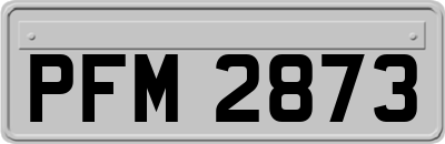 PFM2873