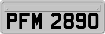 PFM2890