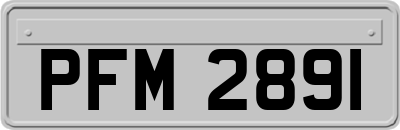 PFM2891