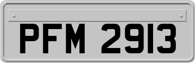 PFM2913