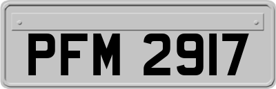 PFM2917