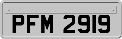 PFM2919