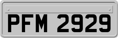 PFM2929