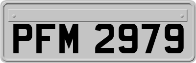 PFM2979