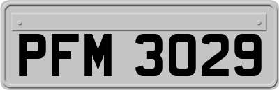 PFM3029