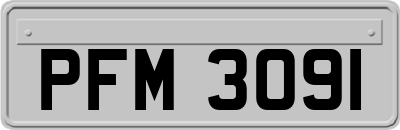 PFM3091