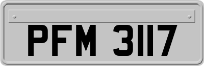 PFM3117