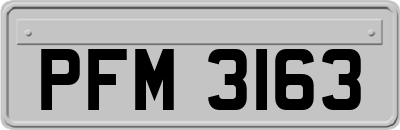 PFM3163