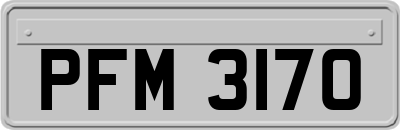 PFM3170