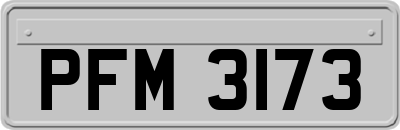 PFM3173