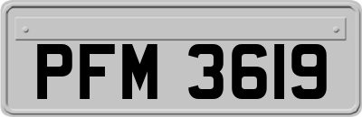 PFM3619