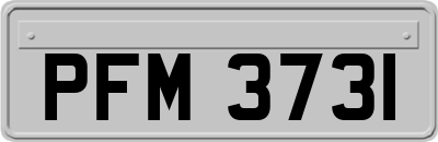 PFM3731
