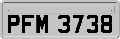 PFM3738