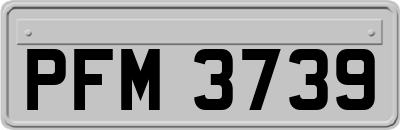 PFM3739