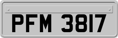 PFM3817