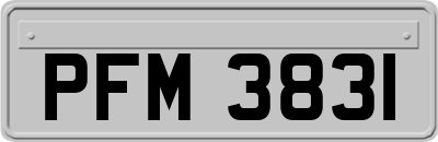 PFM3831
