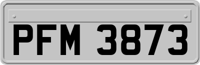 PFM3873